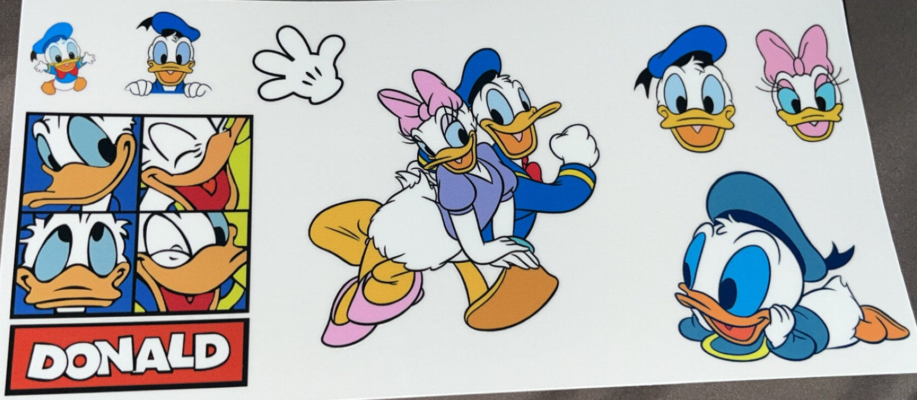 Donald duck and Daisy