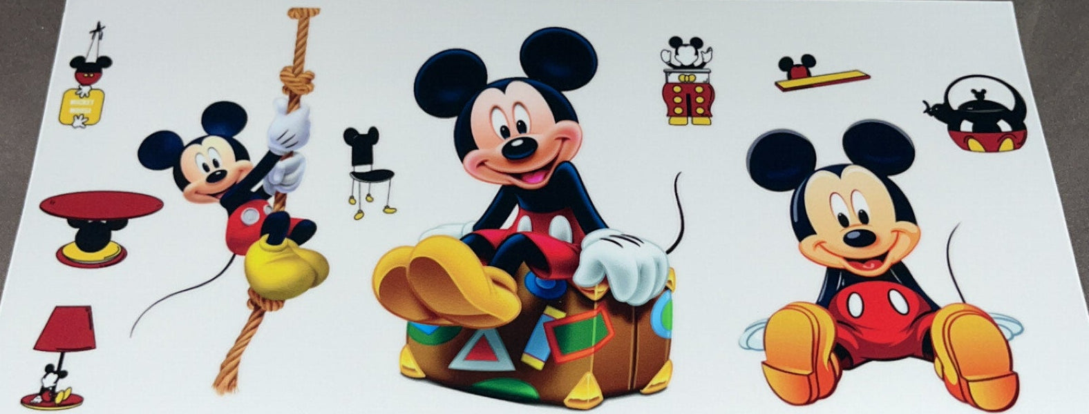 Mickey sitting on a suitcase