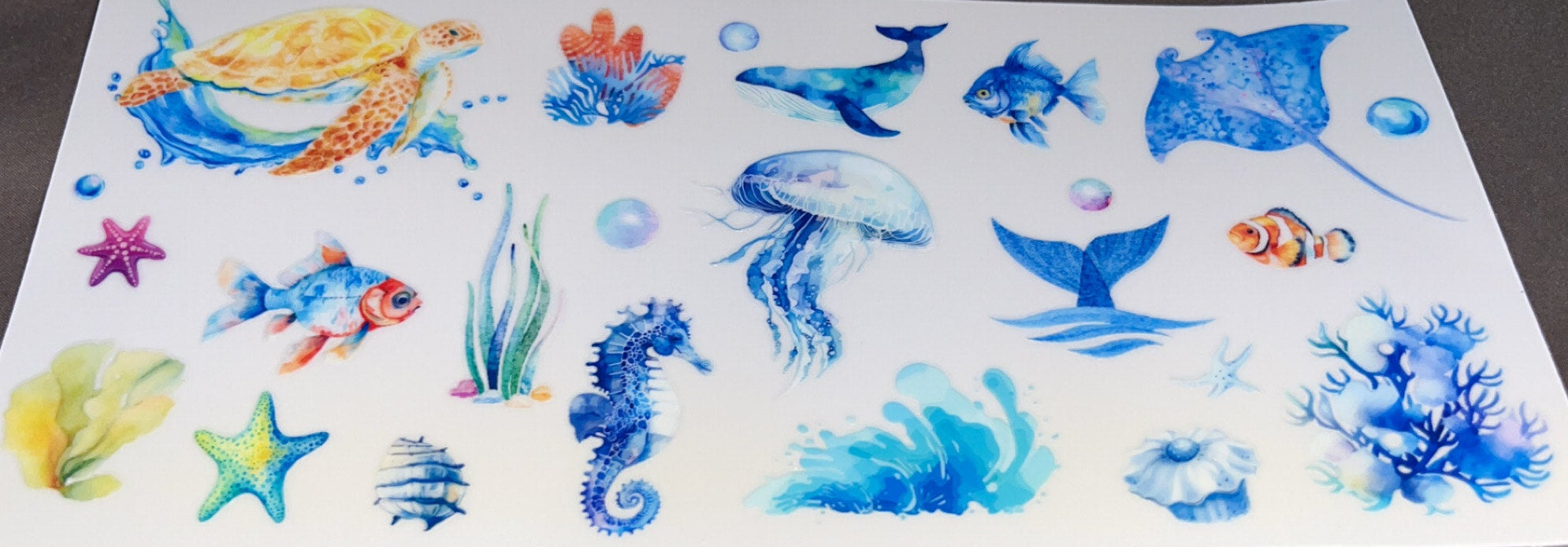 Turtle with Ocean animals