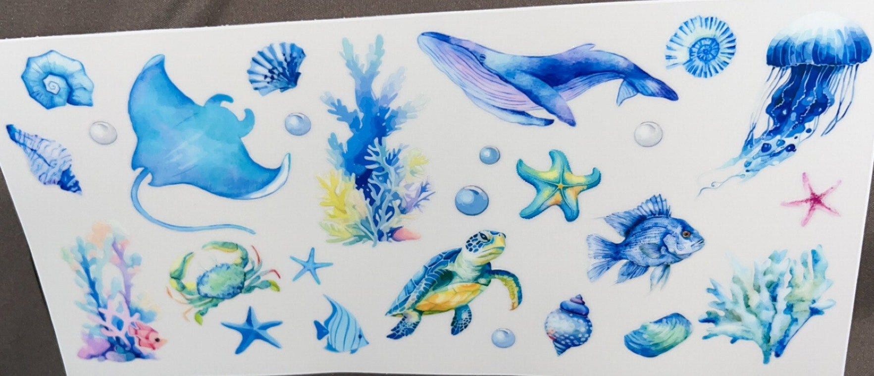 Whale, Turtle, and sea animals