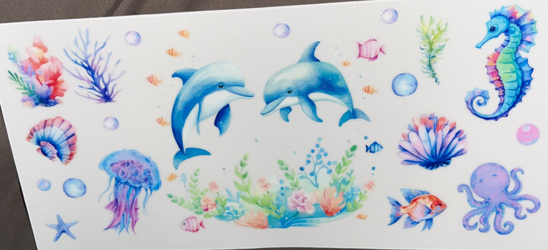 Dolphins with ocean animals